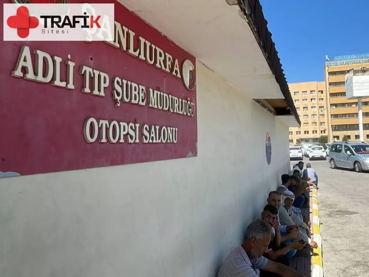 Koyun Otlatırken Otomobilin Çarptığı Çoban Hayatını Kaybetti, Sürücü Gözaltında!