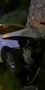 Elazığ'da Araç Aydınlatma Direğine Çarptı, 2 Kişi Yaralandı!
