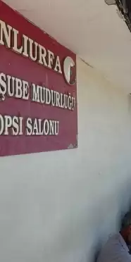 Koyun Otlatırken Otomobilin Çarptığı Çoban Hayatını Kaybetti, Sürücü Gözaltında!