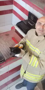 Mardin'de Otomobil Motorunda Sıkışan Yavru Kedi İtfaiye Ekipleri Tarafından Kurtarıldı!