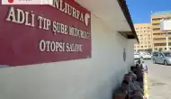 Koyun Otlatırken Otomobilin Çarptığı Çoban Hayatını Kaybetti, Sürücü Gözaltında!