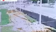 Muş'ta Otomobilin Çarptığı 6 Yaşındaki Çocuk Ağır Yaralandı, Durumu Kritik!
