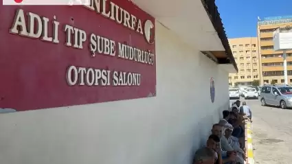 Koyun Otlatırken Otomobilin Çarptığı Çoban Hayatını Kaybetti, Sürücü Gözaltında!