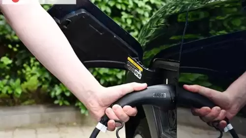 ABD'nin gümrük vergilerine karşı hamle: İngiltere'den elektrikli araç üreticilerine destek