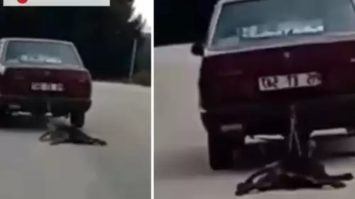 Otomobilin Arkasına Bağladığı Köpeği Sürükleyen Sürücü Hakkında İnceleme Başlatıldı