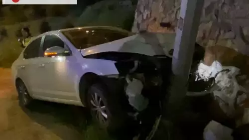 Elazığ'da Araç Aydınlatma Direğine Çarptı, 2 Kişi Yaralandı!