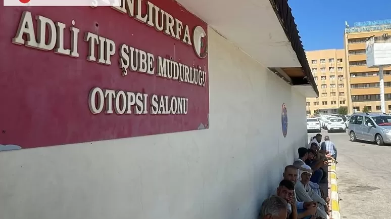 Koyun Otlatırken Otomobilin Çarptığı Çoban Hayatını Kaybetti, Sürücü Gözaltında!
