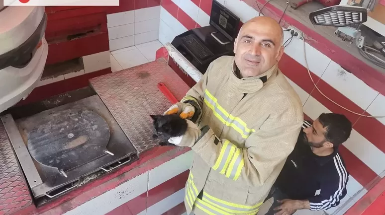 Mardin'de Otomobil Motorunda Sıkışan Yavru Kedi İtfaiye Ekipleri Tarafından Kurtarıldı!