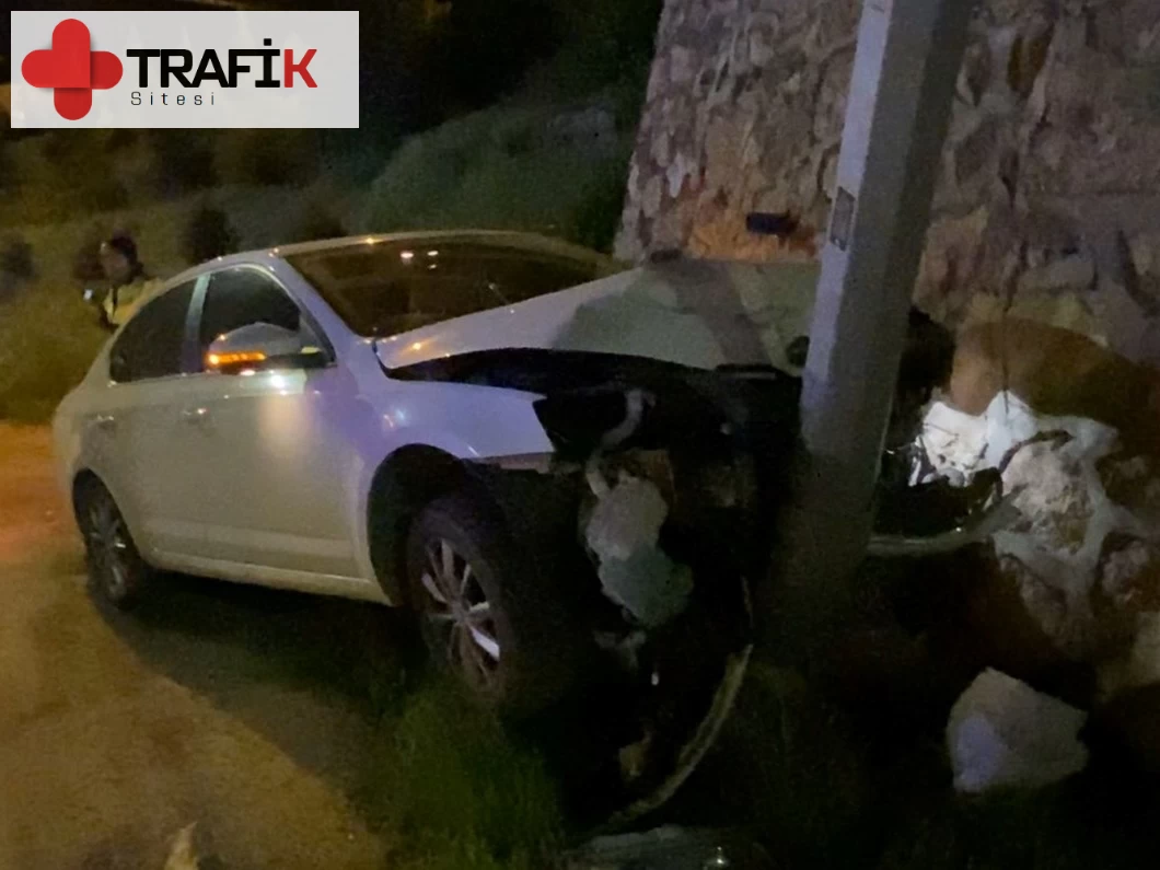 Elazığ'da Araç Aydınlatma Direğine Çarptı, 2 Kişi Yaralandı!