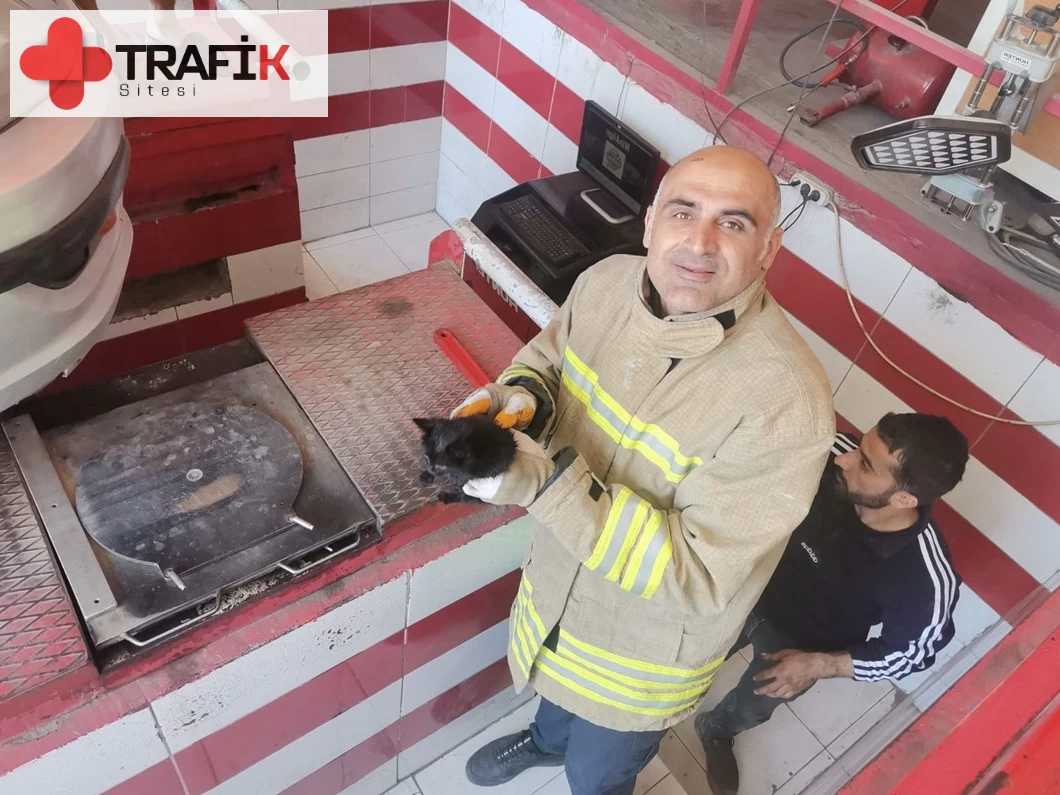 Mardin'de Otomobil Motorunda Sıkışan Yavru Kedi İtfaiye Ekipleri Tarafından Kurtarıldı!
